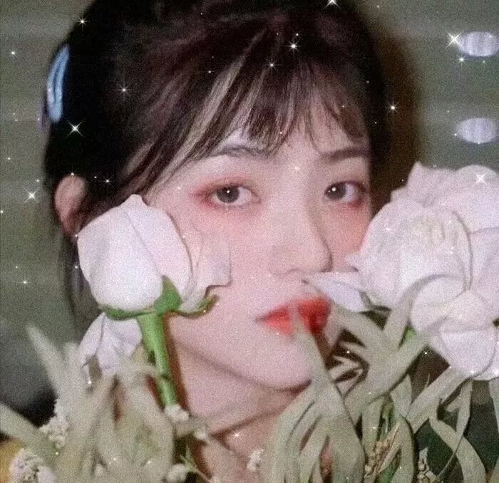 鼠洞里的好朋友