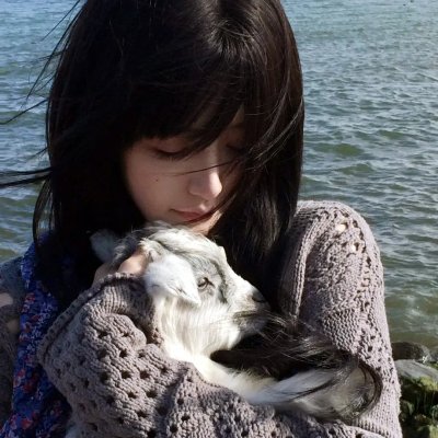 九霄龙吟传